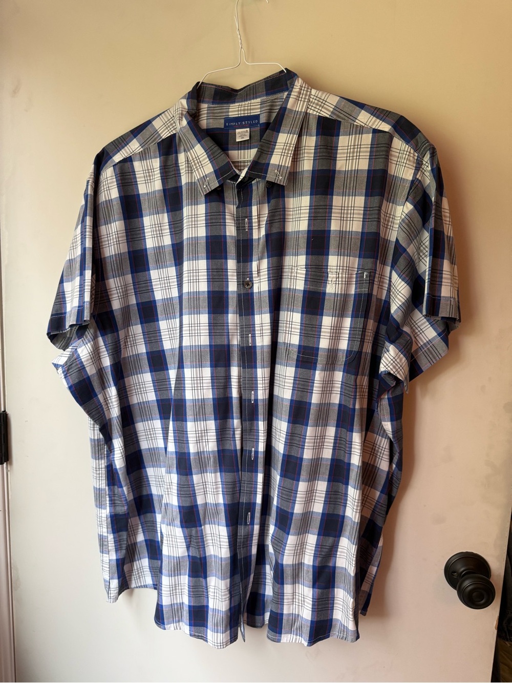 Simply Styled Blue and White Plaid Short-Sleeve Button-Up Shirt